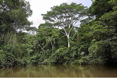 《完蛋！我被美女包围了！前传》x《和平精英》联动 10月23日发售